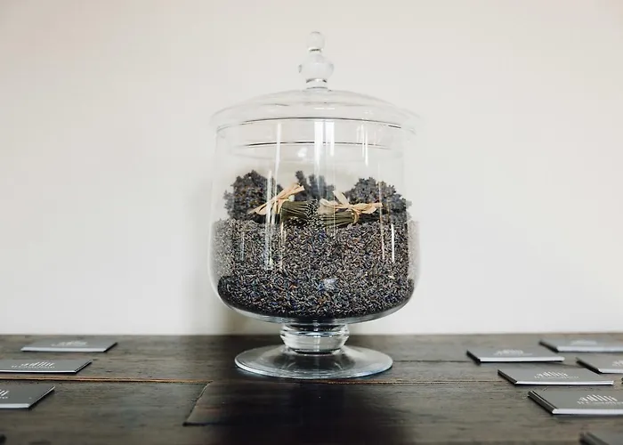 Il Castellaro 3* Borghi