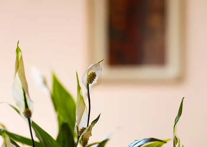 Bed and breakfast Il Castellaro